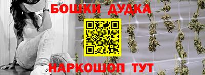 сатива Будённовск