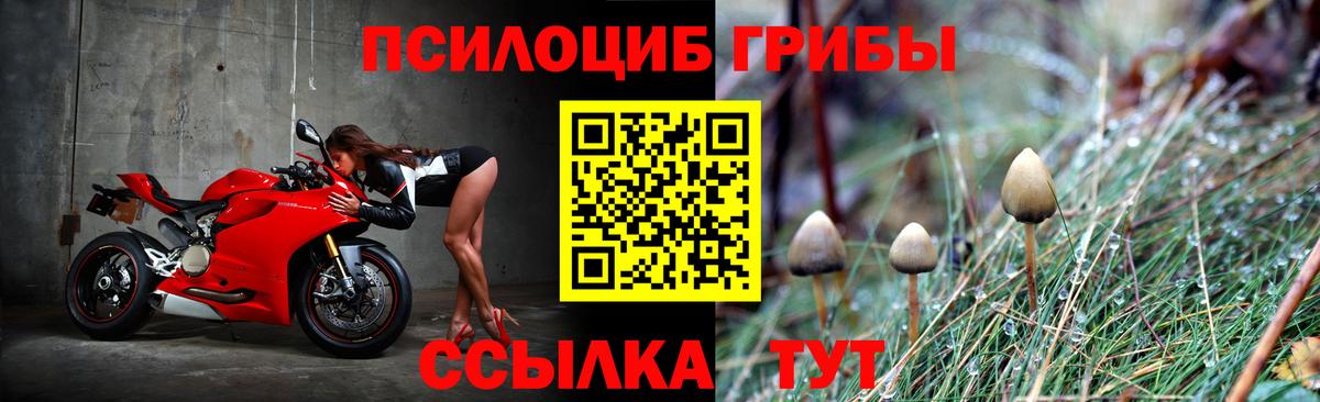 Псилоцибиновые грибы прущие грибы  Вход с VPN  Псилоцибиновые грибы мухоморы  Мончегорск 